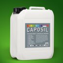 CAPOSIL Betonlack 1 l