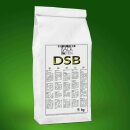 DSB flexible Dichtschlämme auf Zementbasis 5 kg