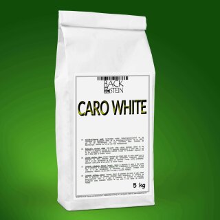 CARO White Feuerfestzement weiß 5 kg